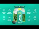 GUTZY (Probiotic millet drink 250 ml X 6 pcs)